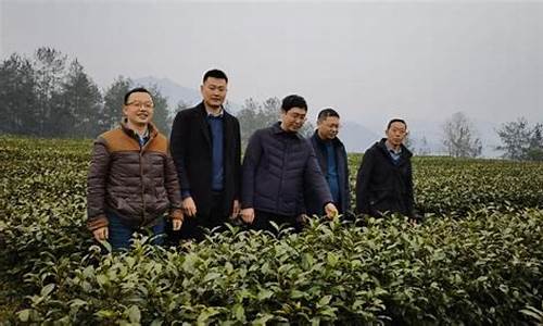 白菜网址(白菜网址是啥) (3)