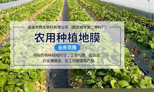 菠菜网地址：专业菠菜导航官网 (6)