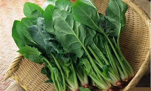 线上菠菜入口(线上菠菜注册) (3)
