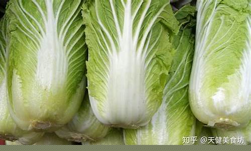 大白菜官网网址(大白菜官网下载地址)