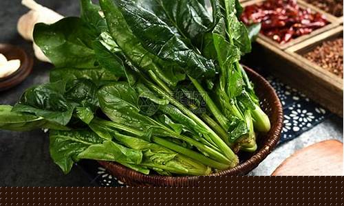 菠菜大全(菠菜大全图片) (2)