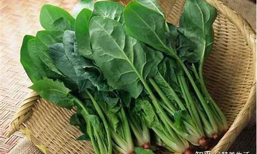 十大菠菜软件：线上菠菜入口(线上菠菜技巧) (3)